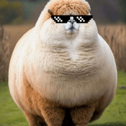 THE COACH's profile picture